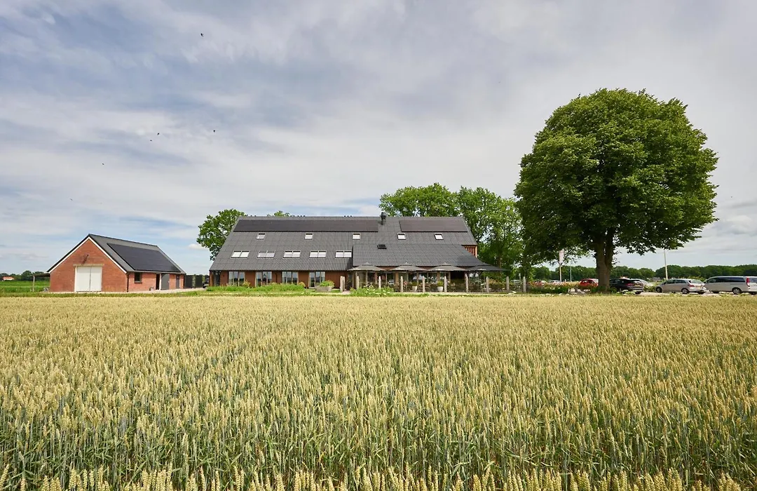 Het Witteveen-1