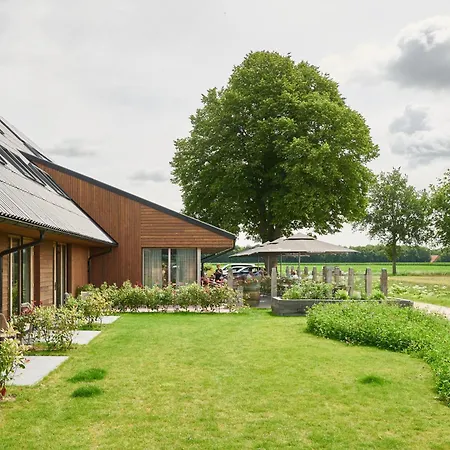 Het Witteveen-3